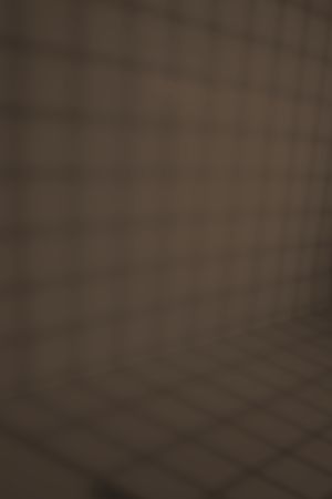 M460 Первобытный лес