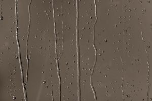 M460 Первобытный лес