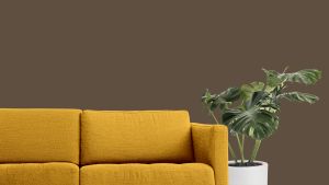 M460 Первобытный лес