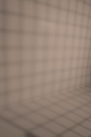 K480 Тамарикс