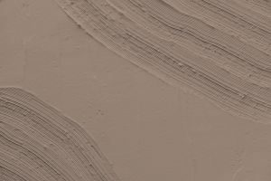 K480 Тамарикс