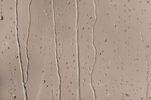 K480 Тамарикс