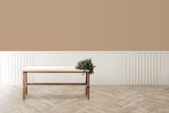 V463 Пустыня