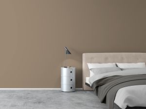 S484 Конгломерат