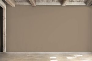 S484 Конгломерат