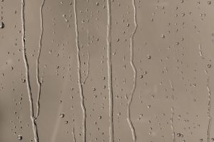 S484 Конгломерат