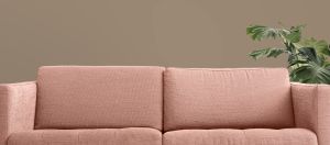 S484 Конгломерат