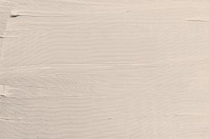 G467 Шампиньон