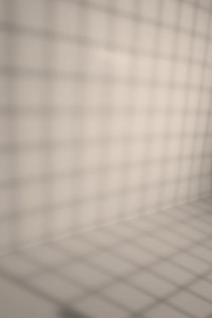 G467 Шампиньон