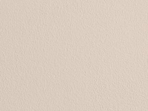 G467 Шампиньон