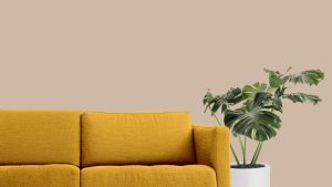 X463 Песчаник