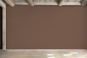 S468 Звездный анис