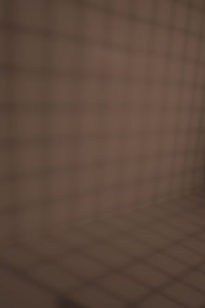 S468 Звездный анис