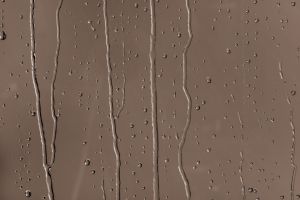 S468 Звездный анис