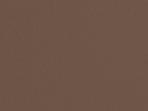 S468 Звездный анис