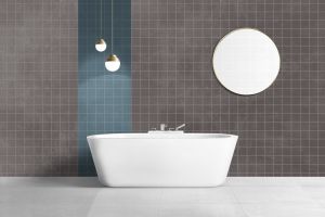 X501 Баклажан