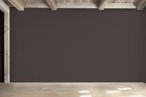 X501 Баклажан