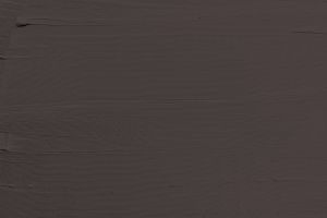 X501 Баклажан