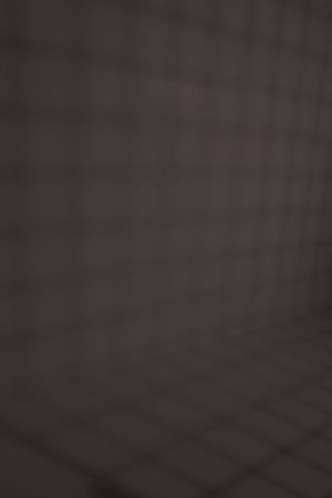 X501 Баклажан