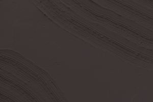 X501 Баклажан