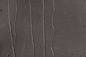 X501 Баклажан