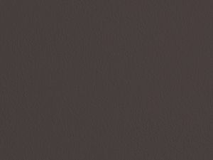 X501 Баклажан