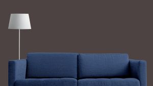 X501 Баклажан