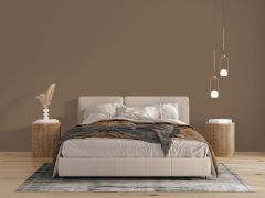 L484 Финик