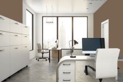 L484 Финик