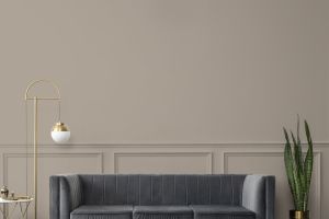 S486 Вулканит