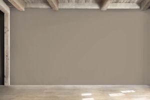 S486 Вулканит