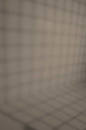 S486 Вулканит