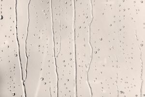 F317 Скульптура