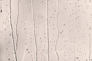 Y319 Яблоневый цветок