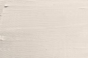 F470 Белоснежка