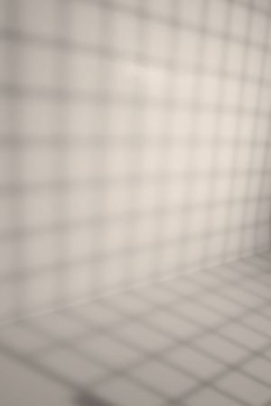 F470 Белоснежка