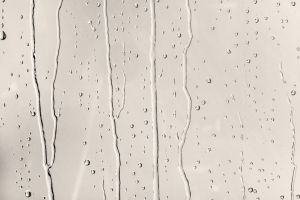 F470 Белоснежка