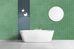 RAL 220-5