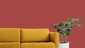 M326 Мармелад