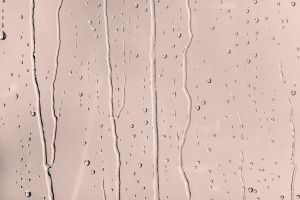 Y411 Молочный коктейль