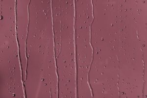 M334 Кардинал