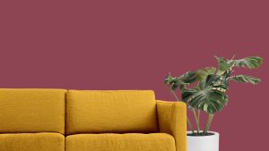 M334 Кардинал