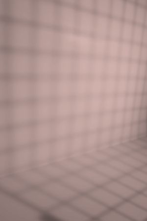 X417 Павильон