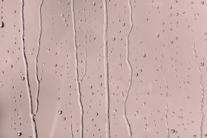 X417 Павильон