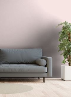 F336 Зефир