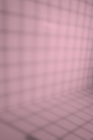 H336 Сахарная вата