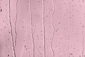 H336 Сахарная вата