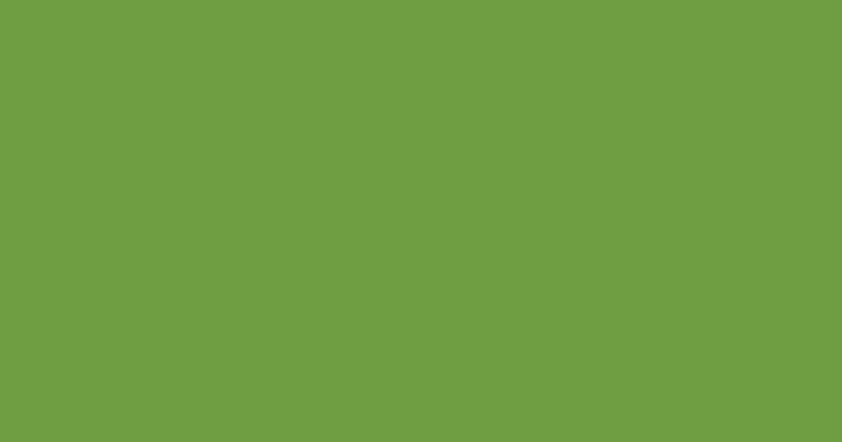 Колір RAL 230-4 rgb(110, 158, 65)