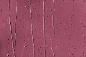 M336 Гибискус