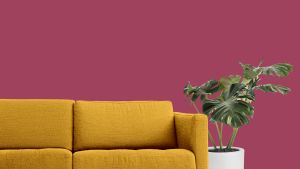 M336 Гибискус